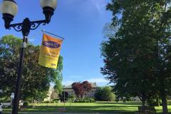 Connect with the Arts in Falmouth