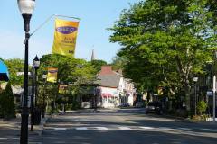 Connect with the Arts in Falmouth