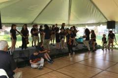Sonnay Fiddlers